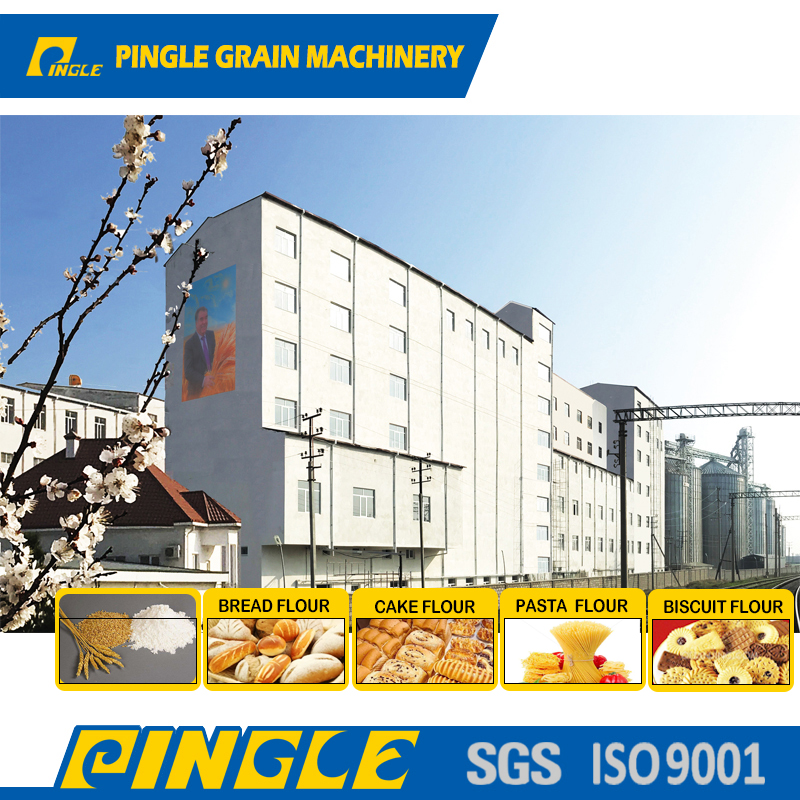 Complete wheat processing line with multi storey structure