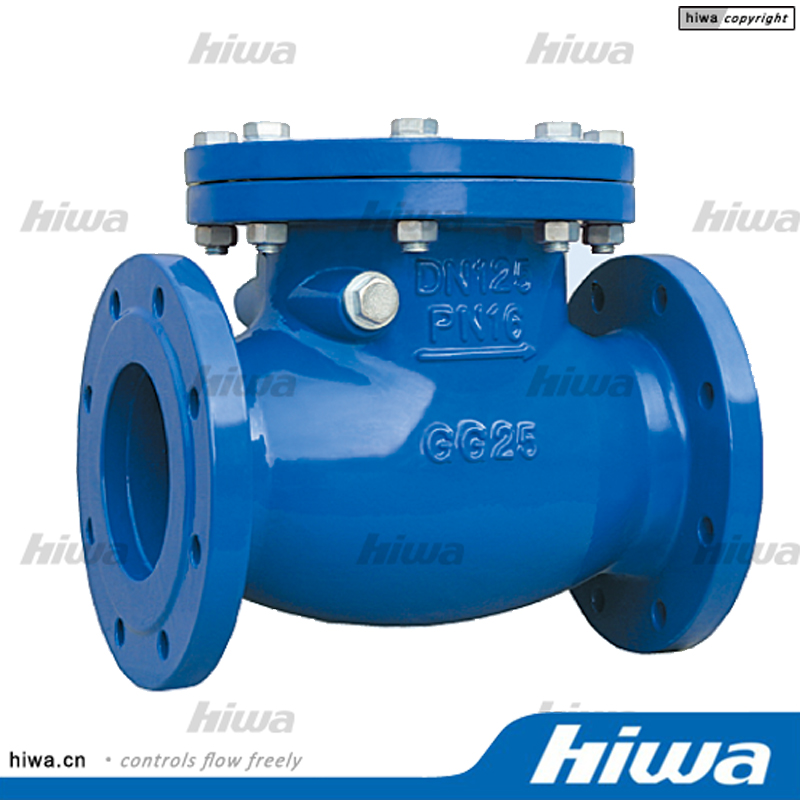 DIN 3202 F6 Swing Check Valve