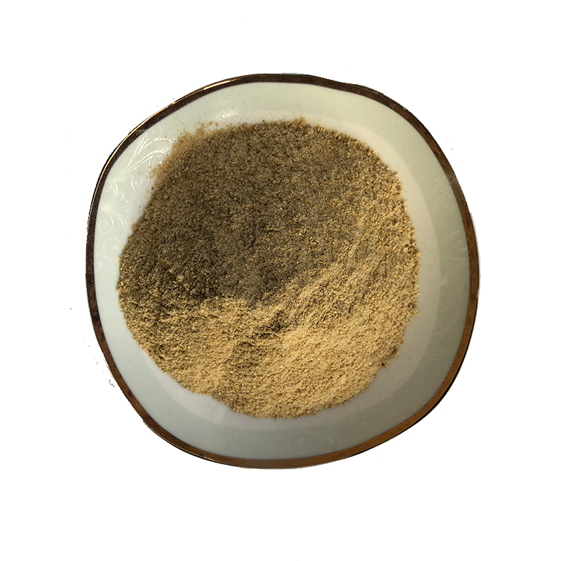 Brewer Yeast 