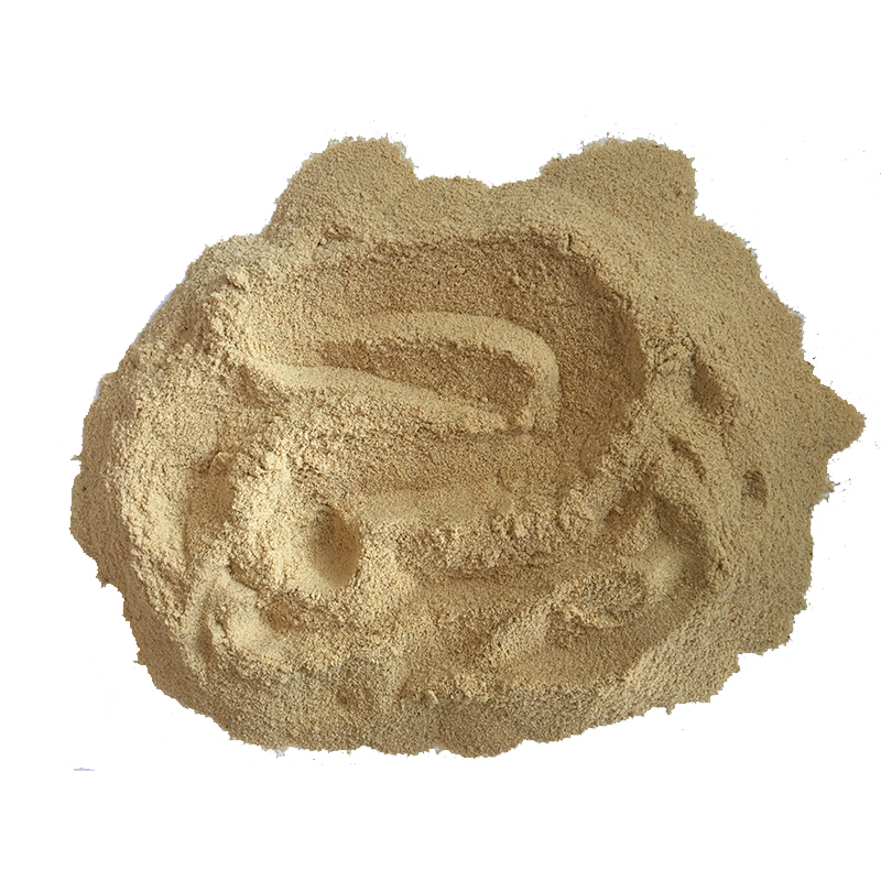 Feed Yeast Powder